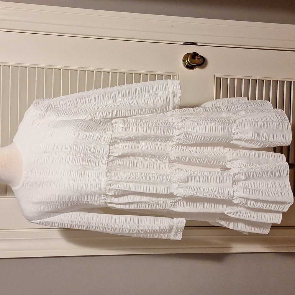 Adorable Zara Dress